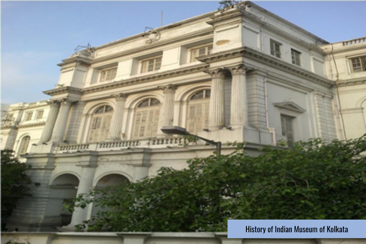 Indian Museum of Kolkata