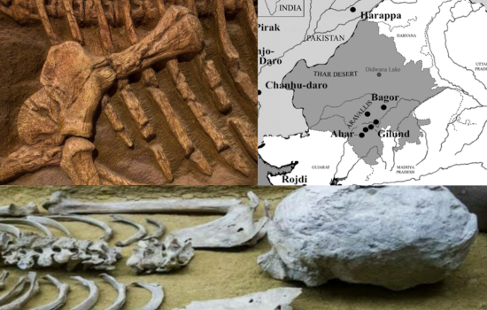 Mesolithic skeletons unearthed from the Archaeological Site of Bagor, Rajasthan | Mesolithic history of Rajasthan | Historyfinder.in